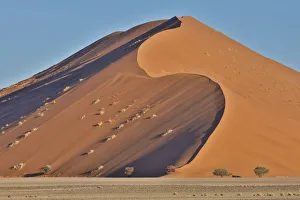 Images Dated 2nd July 2017: Morning light on the sand dunes of Sossusvlei, Namibia