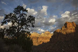 Images Dated 3rd January 2021: Morning light, Zion National Park