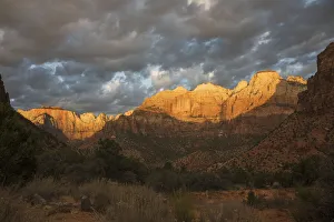 Images Dated 17th January 2021: Morning light, Zion National Park