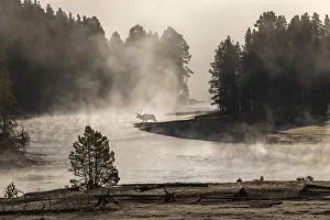 Steam Prints: Morning mist on Yellowstone River, Yellowstone National Park, Wyoming