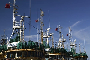 Agadir Prints: MOROCCO, Atlantic Coast, AGADIR: Commercial Port, Fishing Fleet