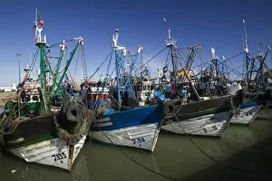 Images Dated 26th March 2006: MOROCCO, Atlantic Coast, ESSAOUIRA: Fishing Port / Morning