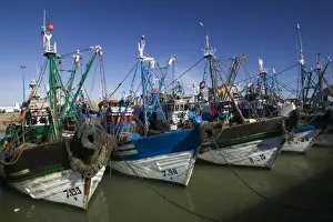 Images Dated 26th March 2006: MOROCCO, Atlantic Coast, ESSAOUIRA: Fishing Port / Morning