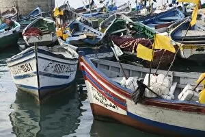 MOROCCO, Casablanca: Fishing Port, Port de Peche