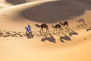 Morocco, Erg Chegaga (or Chigaga) is a Saharan sand dune, it is the largest and wildest of Morocco