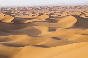 Images Dated 4th May 2015: Morocco. Erg Chegaga (or Chigaga) is a Saharan sand dune (approximately 40 km to