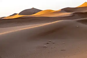 Images Dated 3rd May 2015: Morocco, Erg Chegaga (or Chigaga) is a Saharan sand dune (approximately 40 km to 15 km wide)