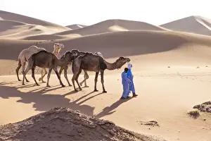 Images Dated 3rd May 2015: Morocco, Erg Chegaga (or Chigaga) is a Saharan sand dune (approximately 40 km to 15 km wide)