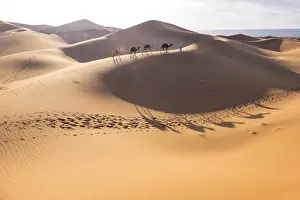 Morocco, Erg Chegaga (or Chigaga) is a Saharan sand dune (approximately 40 km to 15 km wide)