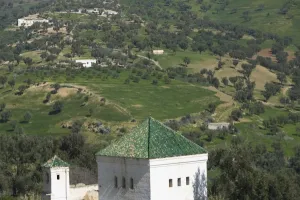 Images Dated 8th March 2006: MOROCCO, Fes: Mosque & Hillside by Bab Guissa Gate Fes El, Bali (Old Fes)