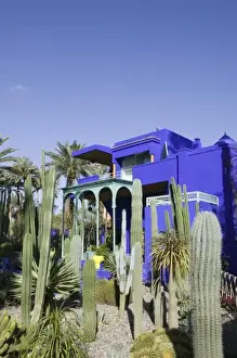 Images Dated 19th March 2006: MOROCCO, MARRAKECH: Jardin Majorelle & Museum of Islamic Art (former villa of Jacques Majorelle)