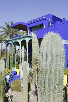 Marrakech Prints: MOROCCO, MARRAKECH: Jardin Majorelle & Museum of Islamic Art (former villa of Jacques Majorelle)