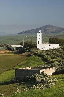 Images Dated 7th March 2006: MOROCCO, Meknes (Area): Small Village Mosque & Farm