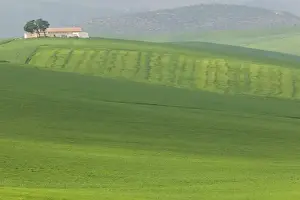 El Menzel Prints: MOROCCO, Region Kandar et Sebou: Spring Countryside by town of EL MENZEL