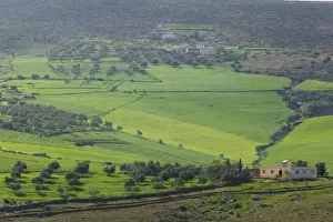 Images Dated 10th March 2006: MOROCCO-Region Kandar et Sebou: Spring Countryside by town of EL MENZEL