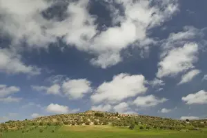 Images Dated 10th March 2006: MOROCCO, Region Kandar et Sebou: Spring Countryside by town of EL MENZEL