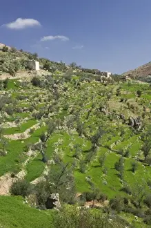 Images Dated 10th March 2006: MOROCCO, Region Kandar et Sebou: Spring Valley View by town of TARHIT