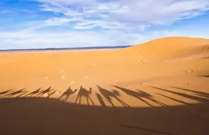 Images Dated 2028 November: Morocco Sahara Desert sand dunes in Las Palmeras area with shadows of tourists riding
