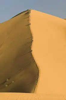 Images Dated 12th March 2006: MOROCCO-Tafilalt-MERZOUGA: Erg Chebbi Dunes (up to 400 ft in height)