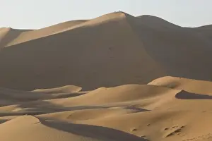 MOROCCO, Tafilalt, MERZOUGA: Erg Chebbi Dunes (up to 400 ft in height), Morning