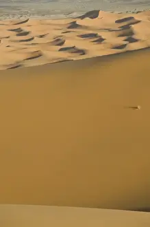 Tafilalt Prints: MOROCCO, Tafilalt, MERZOUGA: Erg Chebbi Dunes (up to 400 ft in height) sunset