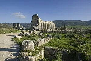 Images Dated 7th March 2006: MOROCCO, Volubilis: Roman Town mostly dating to 2nd & 3rd c. AD / Abandoned by Romans