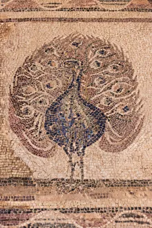 Images Dated 2018 August: Mosaic painting in the Archaeological Park, Paphos (Pafos), Republic of Cyprus