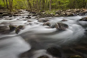 Images Dated 2nd August 2020: Moss covered boulders and flowing stream, Little Pigeon River, Great Smoky Mountains