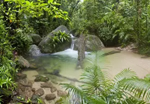 Images Dated 19th March 2012: Mossman Gorge Daintree National Park North Queensland Australia