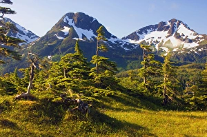 Images Dated 2nd July 2011: Mount Eccles Near Cordova, Alaska