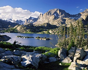 MOUNT NAOMI WILDERNESS, UTAH. USA. Beaver dam on High Creek. Bear River Range. Wasatch-Cache