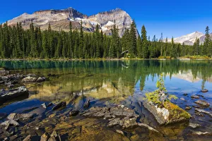 Canada Prints: Mount Odaray above Lake O hara, Yoho National Park, British Columbia, Canada