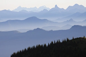 Images Dated 24th August 2009: Mount Rainier National Park, Cascade Mountains