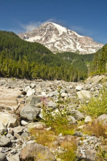 Stark Prints: Mount Rainier and Nisqually River, Mount Rainier National Park, Washington, USA