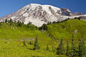 Snow Covered Prints: Mount Rainier from Paradise; Mount Rainier National Park; Washington; USA