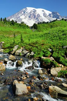 Flowing Prints: Mount Rainier from Paradise with Stream, Mount Rainier National Park, Washington, USA