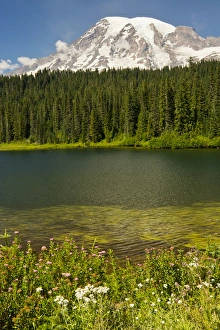 Mount Rainier and Reflection Lake; Mount Rainier National Park; Washington; USA