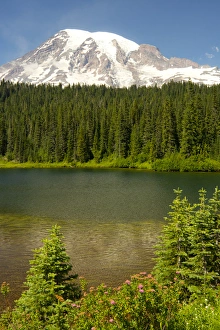 Mount Rainier and Reflection Lake; Mount Rainier National Park; Washington; USA