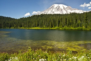 Mount Rainier, Reflection Lakes, Mount Rainier National Park, Washington, USA