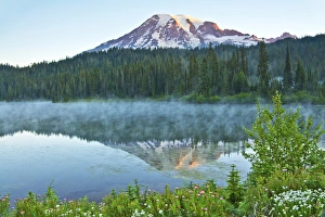 Pearly Everlasting Prints: Mount Rainier; reflection; Mirror Lake; Mount Rainier National Park; Washington; USA