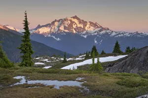 Subalpine Prints: Mount Shuksan, North Cascades
