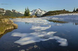 Subalpine Prints: Mount Shuksan seen from partially thawed tarn