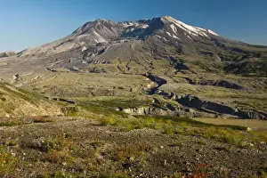 Images Dated 26th July 2014: Mount St. Helens; evening; summer; Boundary Trail; Washington; USA