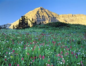 Clear Weather Prints: Mount Timpanogos Wilderness, Utah