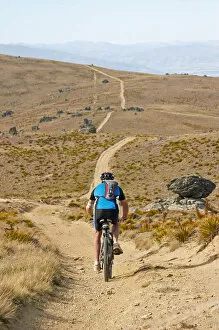 Images Dated 9th January 2006: Mountain Bikers, Carrick Track, Carrick Range, Central Otago, South Island, New Zealand