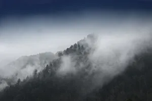 Images Dated 3rd September 2020: Mountain Clouds at Newfound Gap, Smoky Mountains National Park, Tennessee, USA