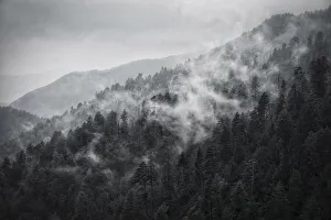Images Dated 3rd September 2020: Mountain Clouds at Newfound Gap, Smoky Mountains National Park, Tennessee, USA