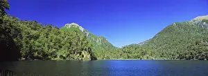Images Dated 11th October 2012: Mountain Forest with Monkey Puzzle Trees and Southern beeches with lake
