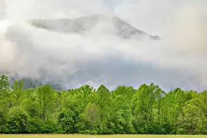 North Carolina Prints: Mountain peak rising through morning mist