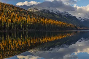 Mountains Prints: Mountain peaks reflect into Bowman Lake in autumn in Glacier National Park, Montana, USA